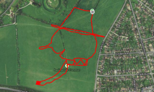 End of term Strava Art with the kids